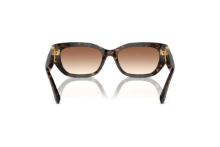 Rear view Ralph Lauren THE BRIDGET (RL8222 - 500313)