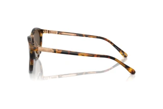 Side view Ralph Lauren THE QUINCY (RL8223 - 513453)