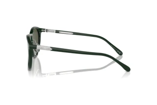 Side view Ralph Lauren THE QUINCY (RL8223 - 614031)