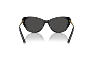 Rear view Ralph Lauren THE ELLA (RL8224U - 500187)