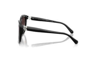 Side view Ralph Lauren RL8225U (50018G)