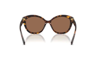 Rear view Ralph Lauren RL8225U (500373)