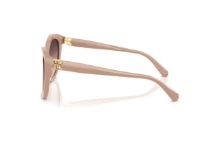 Side view Ralph Lauren RL8225U (6218U8)