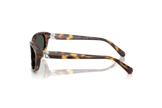 Side view Ralph Lauren RL8226U (513487)