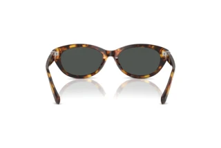 Rear view Ralph Lauren RL8226U (513487)