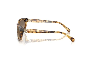 Side view Ralph Lauren RL8226U (60566Y)