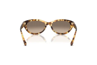 Rear view Ralph Lauren RL8226U (60566Y)