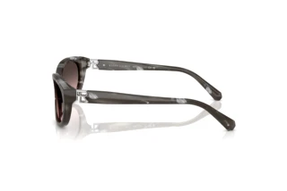 Side view Ralph Lauren RL8226U (617546)