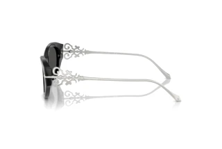 Side view Ralph Lauren RL8227U (500187)