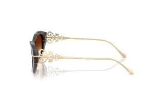 Side view Ralph Lauren RL8227U (500374)