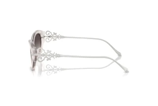 Side view Ralph Lauren RL8227U (611208)