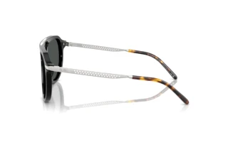 Side view Ralph Lauren RL8228U (500187)