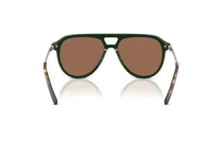 Rear view Ralph Lauren RL8228U (614073)
