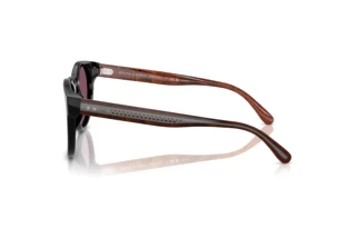 Side view Ralph Lauren RL8229U (53981A)