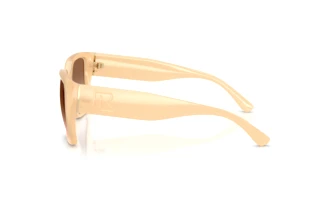 Side view Ralph Lauren RL8230U (624513)