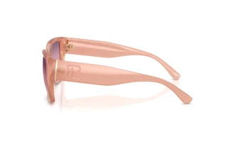 Side view Ralph Lauren RL8230U (6281U8)