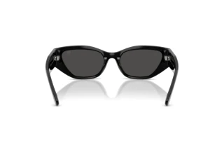 Rear view Ralph Lauren RL8231U (500187)