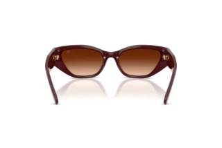 Rear view Ralph Lauren RL8231U (551674)