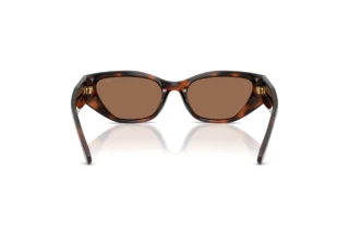 Rear view Ralph Lauren RL8231U (624173)