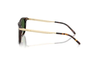 Side view Ralph Lauren RL8233U (500371)