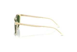 Side view Ralph Lauren RL8233U (503471)