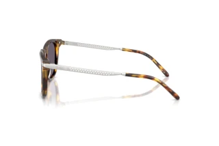 Side view Ralph Lauren RL8233U (51341A)