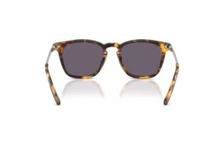 Rear view Ralph Lauren RL8233U (51341A)