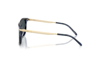 Side view Ralph Lauren RL8233U (618387)