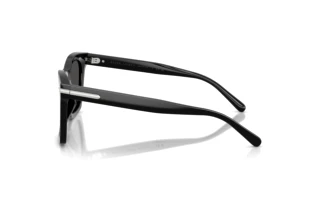 Side view Ralph Lauren RL8235U (500187)