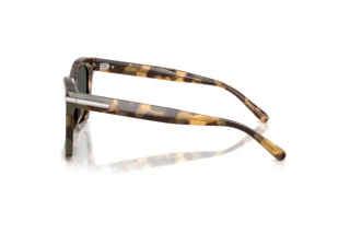 Side view Ralph Lauren RL8235U (617887)