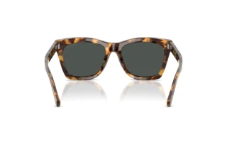 Rear view Ralph Lauren RL8235U (617887)
