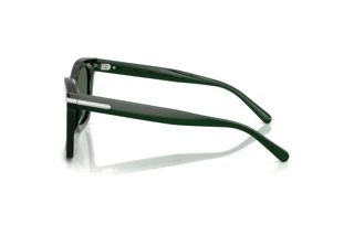Side view Ralph Lauren RL8235U (630471)
