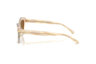 Side view Ralph Lauren RL8236U (617673)