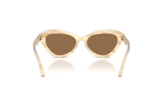 Rear view Ralph Lauren RL8236U (617673)