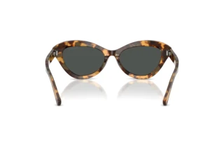 Rear view Ralph Lauren RL8236U (617887)