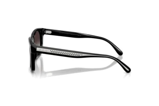 Side view Ralph Lauren RL8237U (50018G)