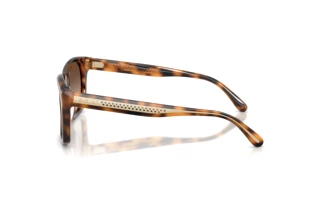 Side view Ralph Lauren RL8237U (608913)
