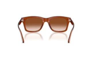 Rear view Ralph Lauren RL8237U (630613)