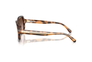 Side view Ralph Lauren RL8238U (608913)