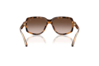 Rear view Ralph Lauren RL8238U (608913)