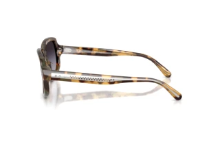 Side view Ralph Lauren RL8238U (61788G)