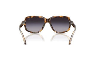 Rear view Ralph Lauren RL8238U (61788G)