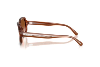 Side view Ralph Lauren RL8238U (630613)