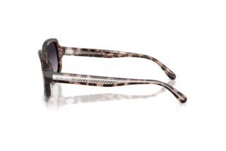 Side view Ralph Lauren RL8238U (63078G)