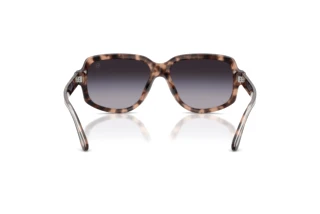 Rear view Ralph Lauren RL8238U (63078G)