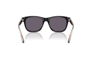 Rear view Ralph Lauren RL8239U (50011A)