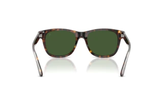 Rear view Ralph Lauren RL8239U (500371)