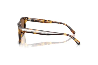 Side view Ralph Lauren RL8239U (513473)