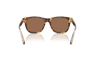 Rear view Ralph Lauren RL8239U (513473)