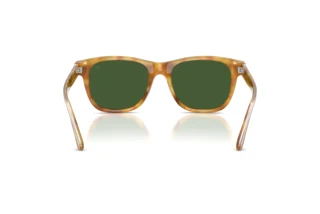 Rear view Ralph Lauren RL8239U (618571)